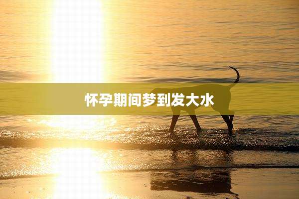 怀孕期间梦到发大水