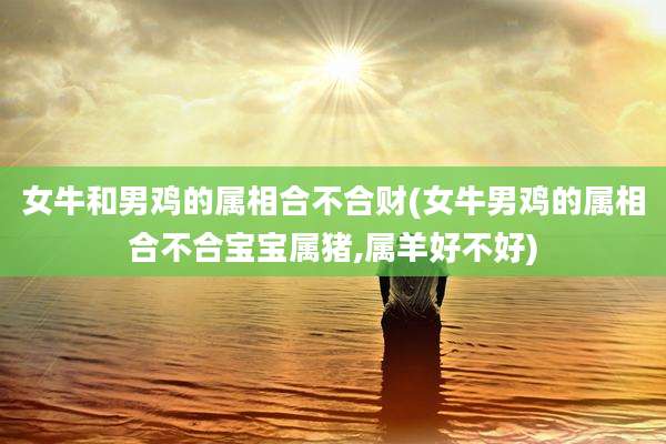 女牛和男鸡的属相合不合财(女牛男鸡的属相合不合宝宝属猪,属羊好不好)