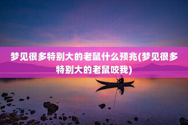 梦见很多特别大的老鼠什么预兆(梦见很多特别大的老鼠咬我)