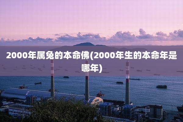 2000年属兔的本命佛(2000年生的本命年是哪年)