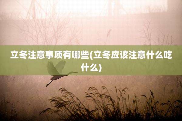 立冬注意事项有哪些(立冬应该注意什么吃什么)