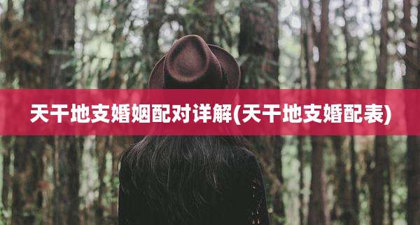 天干地支婚姻配对详解(天干地支婚配表)