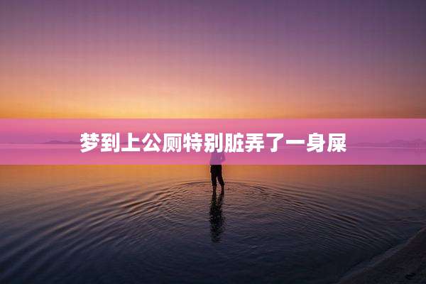 梦到上公厕特别脏弄了一身屎