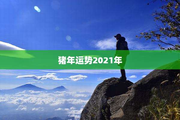 猪年运势2021年