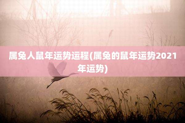 属兔人鼠年运势运程(属兔的鼠年运势2021年运势)