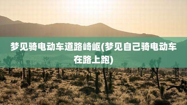 梦见骑电动车道路崎岖(梦见自己骑电动车在路上跑)