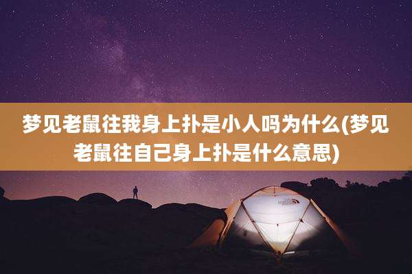 梦见老鼠往我身上扑是小人吗为什么(梦见老鼠往自己身上扑是什么意思)