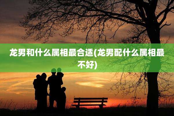 龙男和什么属相最合适(龙男配什么属相最不好)