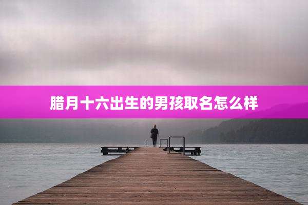 腊月十六出生的男孩取名怎么样