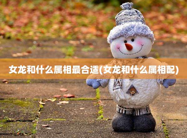 女龙和什么属相最合适(女龙和什么属相配)