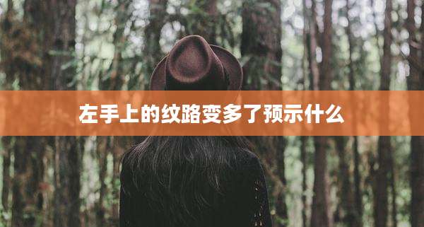 左手上的纹路变多了预示什么