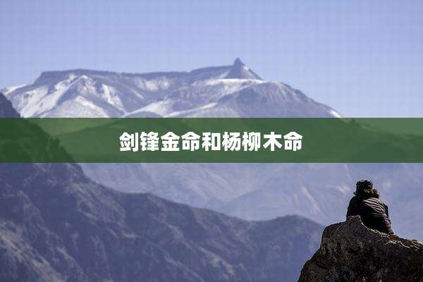 剑锋金命和杨柳木命