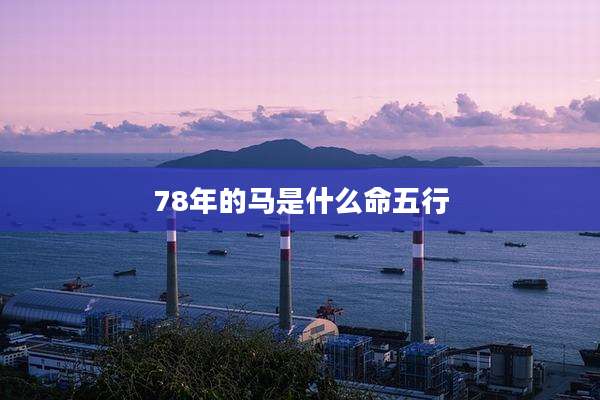 78年的马是什么命五行