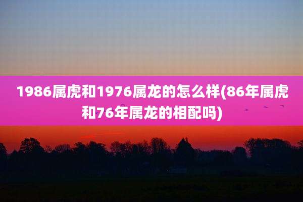 1986属虎和1976属龙的怎么样(86年属虎和76年属龙的相配吗)