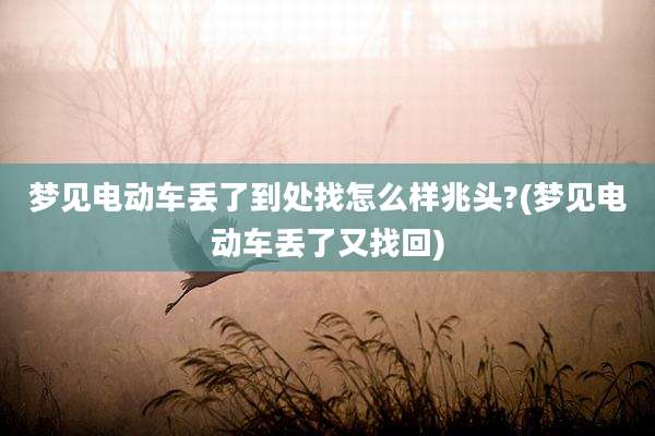 梦见电动车丢了到处找怎么样兆头?(梦见电动车丢了又找回)