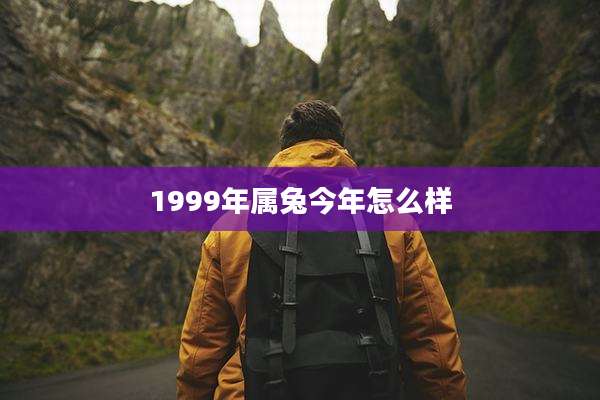 1999年属兔今年怎么样