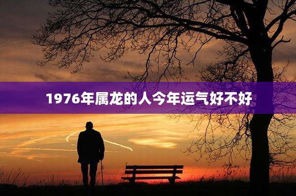 1976年属龙的人今年运气好不好