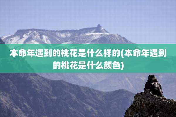 本命年遇到的桃花是什么样的(本命年遇到的桃花是什么颜色)