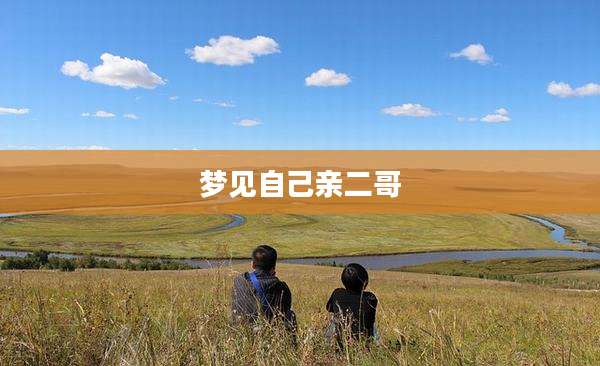 梦见自己亲二哥