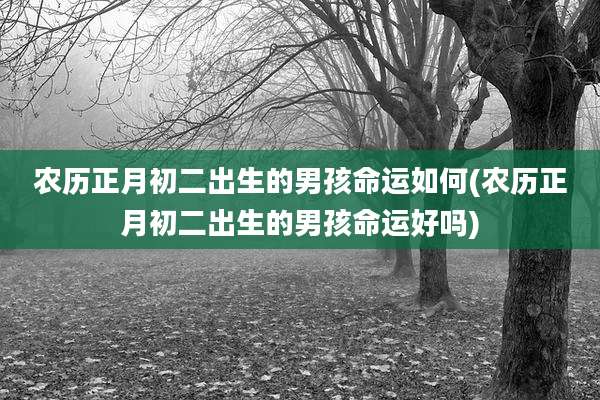 农历正月初二出生的男孩命运如何(农历正月初二出生的男孩命运好吗)