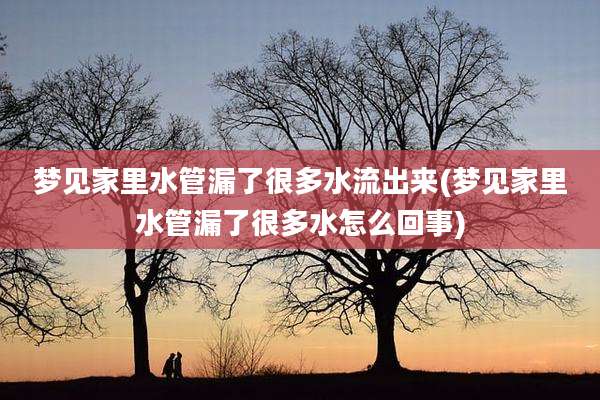 梦见家里水管漏了很多水流出来(梦见家里水管漏了很多水怎么回事)
