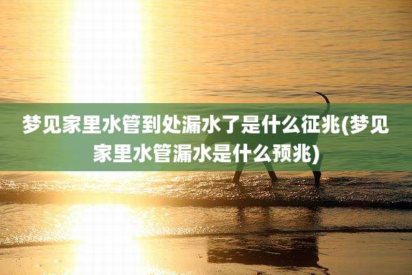 梦见家里水管到处漏水了是什么征兆(梦见家里水管漏水是什么预兆)