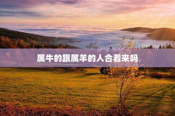 属牛的跟属羊的人合着来吗