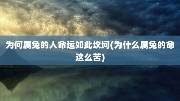 为何属兔的人命运如此坎坷(为什么属兔的命这么苦)