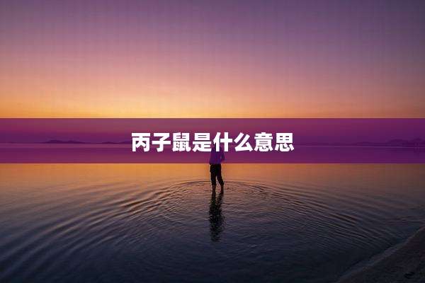 丙子鼠是什么意思