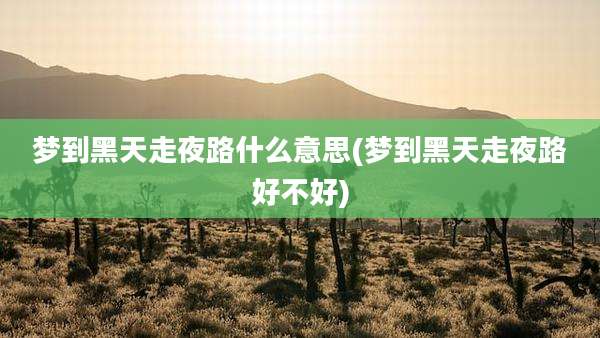 梦到黑天走夜路什么意思(梦到黑天走夜路好不好)