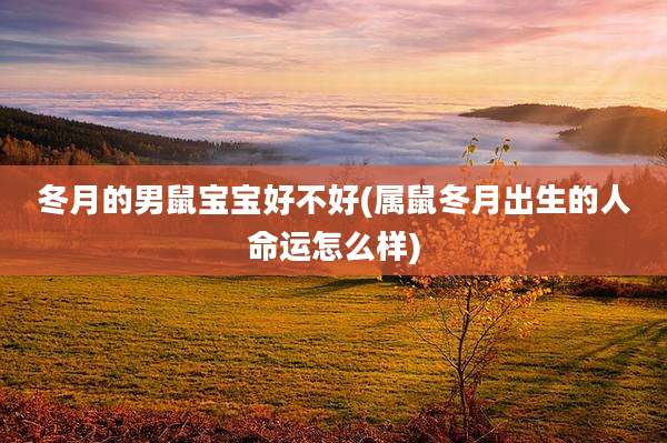 冬月的男鼠宝宝好不好(属鼠冬月出生的人命运怎么样)