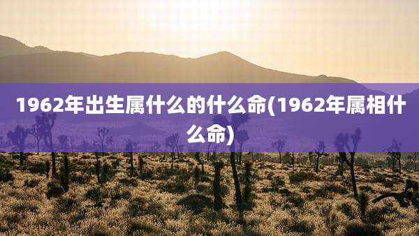 1962年出生属什么的什么命(1962年属相什么命)