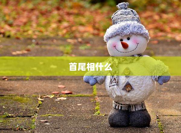 首尾相什么