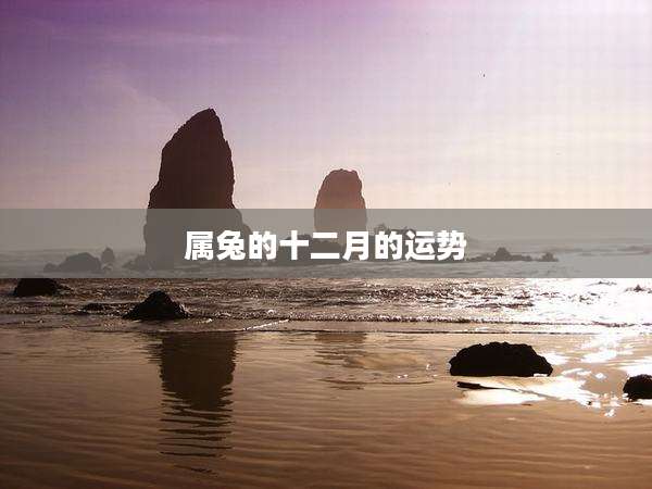 属兔的十二月的运势