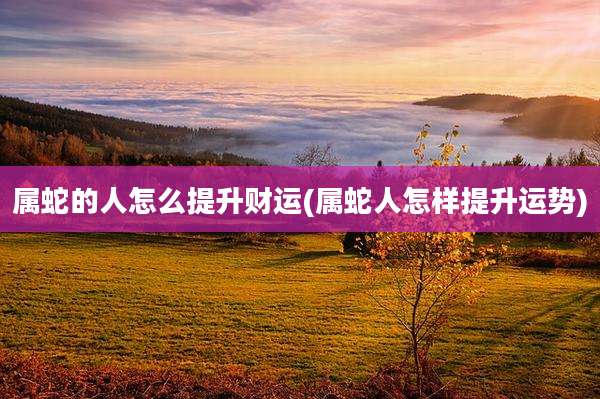 属蛇的人怎么提升财运(属蛇人怎样提升运势)