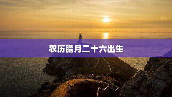 农历腊月二十六出生