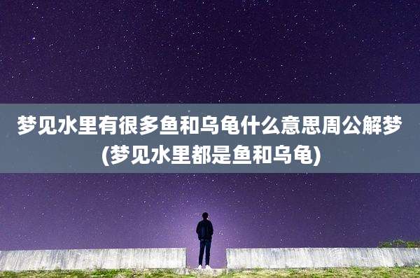 梦见水里有很多鱼和乌龟什么意思周公解梦(梦见水里都是鱼和乌龟)
