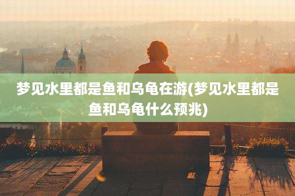梦见水里都是鱼和乌龟在游(梦见水里都是鱼和乌龟什么预兆)