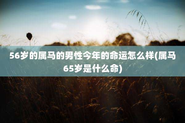56岁的属马的男性今年的命运怎么样(属马65岁是什么命)