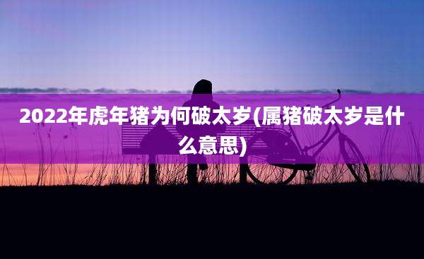 2022年虎年猪为何破太岁(属猪破太岁是什么意思)