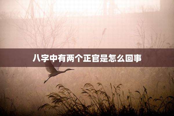 八字中有两个正官是怎么回事