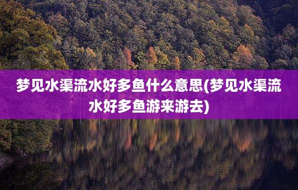 梦见水渠流水好多鱼什么意思(梦见水渠流水好多鱼游来游去)