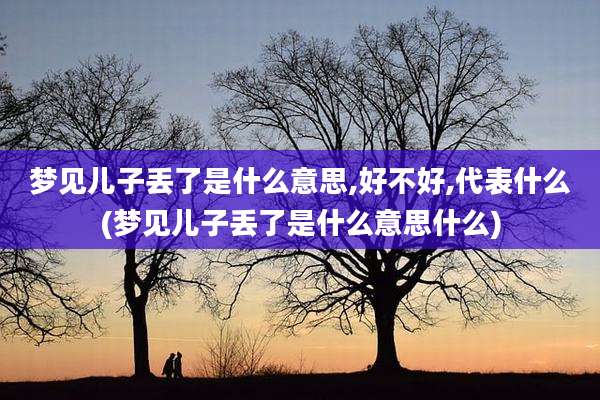 梦见儿子丢了是什么意思,好不好,代表什么(梦见儿子丢了是什么意思什么)