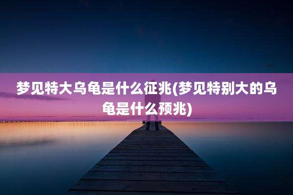 梦见特大乌龟是什么征兆(梦见特别大的乌龟是什么预兆)