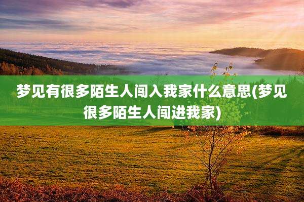 梦见有很多陌生人闯入我家什么意思(梦见很多陌生人闯进我家)