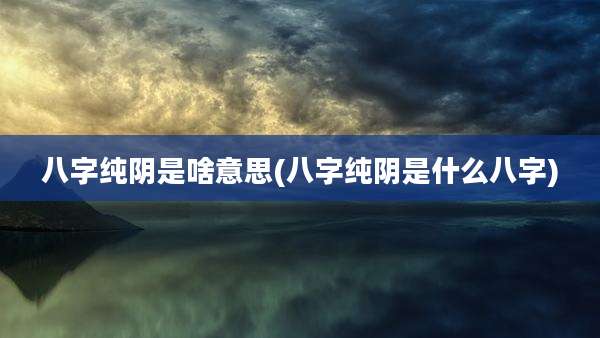 八字纯阴是啥意思(八字纯阴是什么八字)