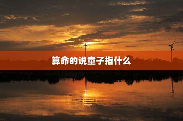算命的说童子指什么