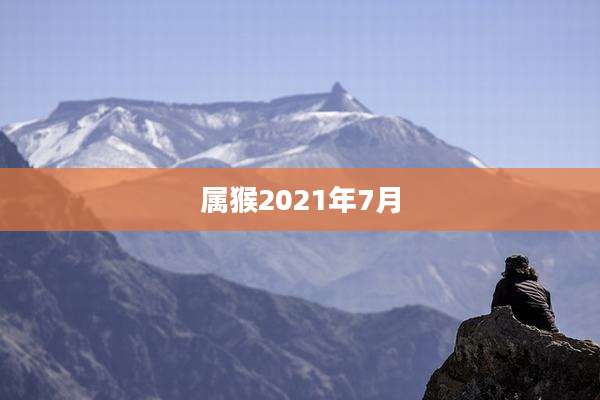 属猴2021年7月