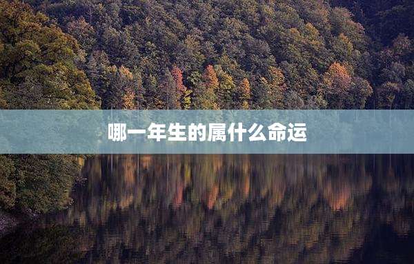 哪一年生的属什么命运