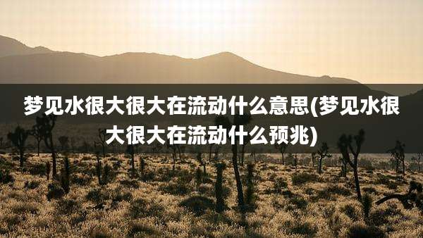 梦见水很大很大在流动什么意思(梦见水很大很大在流动什么预兆)